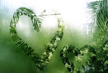 AYX:納帥鼓舞球隊,德國隊誌在歐洲杯冠軍!.